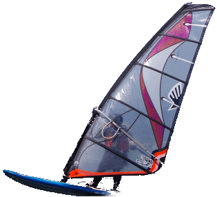 Windsurfer